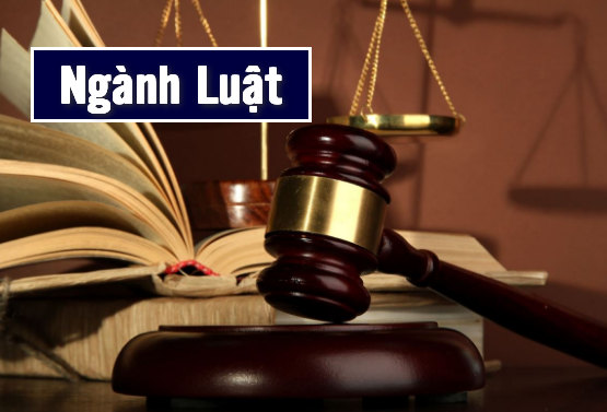 NGÀNH LUẬT